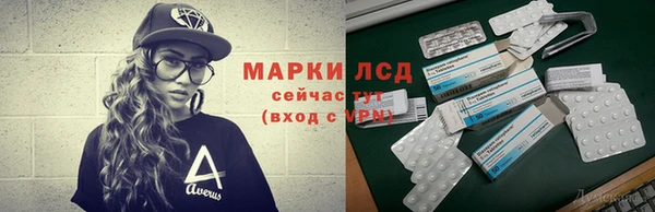 индика Аркадак