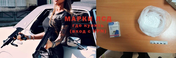 индика Аркадак