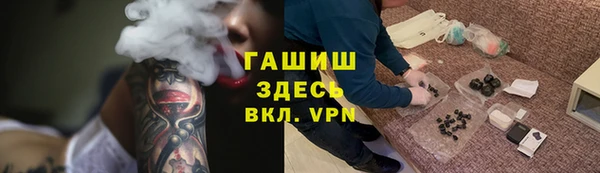 индика Аркадак