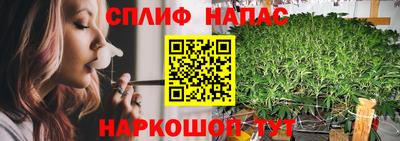 PSILOCYBIN Кизилюрт