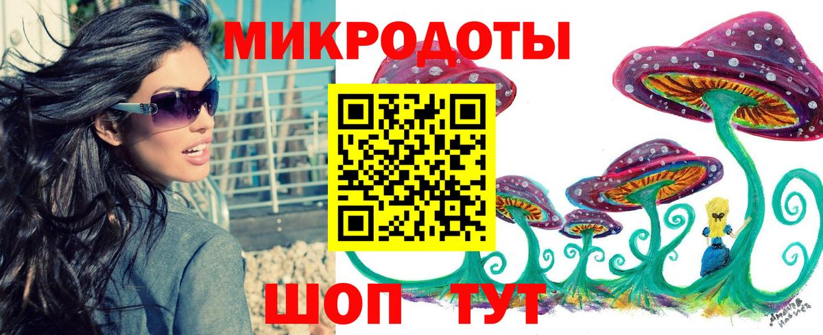 Псилоцибиновые грибы Psilocybe Заречный
