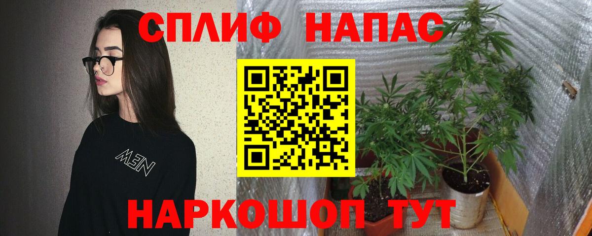 Шишки марихуана White Widow  Шишки марихуана план  Каннабис Ganja  Заречный  Канабис LSD WEED  Вход с VPN 
